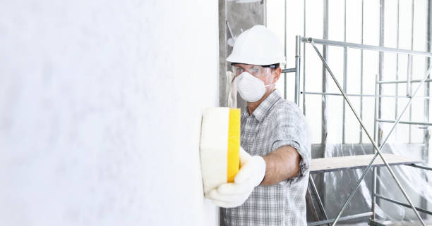 Mold Documentation for Insurance Claims in Willmar, MN